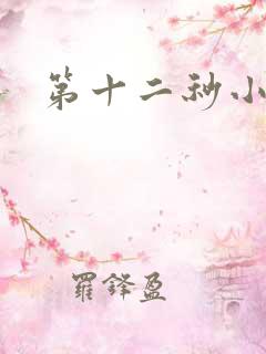 第十二秒小说