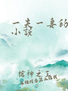 一夫一妻的玄幻小说