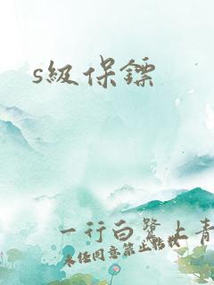 s级保镖