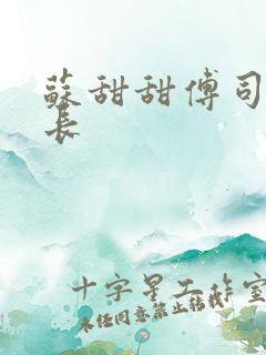 苏甜甜傅司衍机长