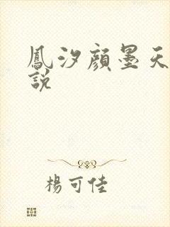 凤汐颜墨天问小说