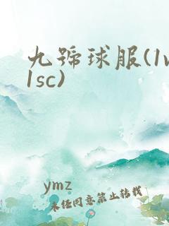 九号球服(1v1sc)