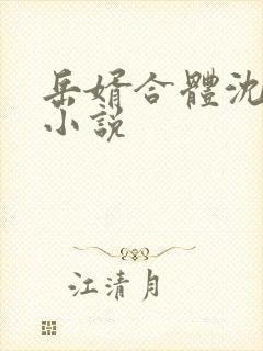 岳婿合体沈绝的小说