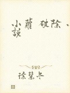 小萝 破除 小说
