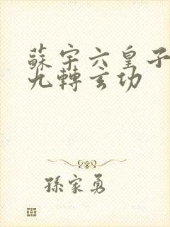 苏宇六皇子签到九转玄功