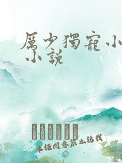 厉少独宠小娇妻 小说