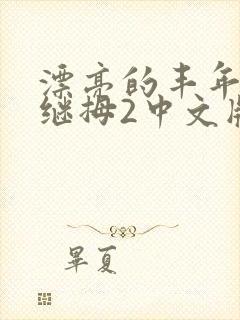 漂亮的丰年经的继拇2中文版