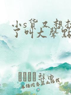 小s货又想挨c了叫大声点