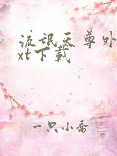 流氓天尊外传txt下载