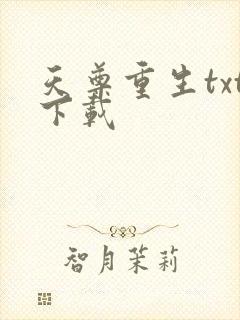 天尊重生txt下载