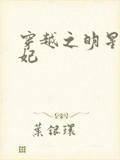 穿越之明星太子妃