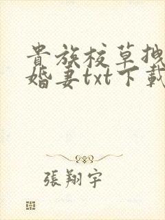 贵族校草拽拽未婚妻txt下载