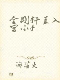 金刚杵直入莲花宫小f