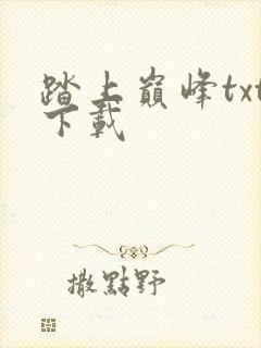 踏上巅峰txt下载