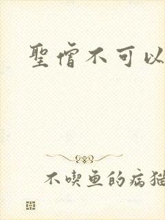 圣僧不可以