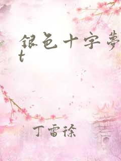 银色十字梦txt