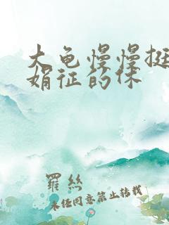 大龟慢慢挺进张娟征的休