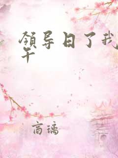 领导日了我一下午