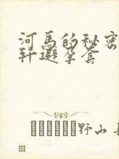 河马的秘密河文轩避孕套