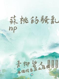 苏桃的骚乱文肉np