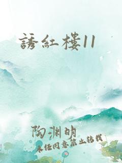 诱红楼11