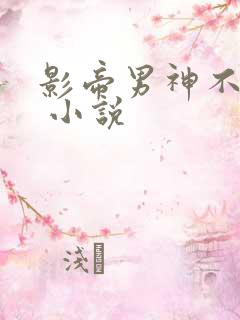 影帝男神不节制 小说