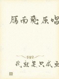 雁南飞原唱