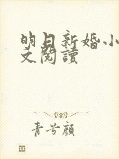 明日新婚小说全文阅读