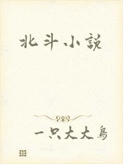 北斗小说