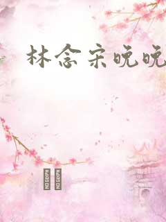 林念宋晚晚小说