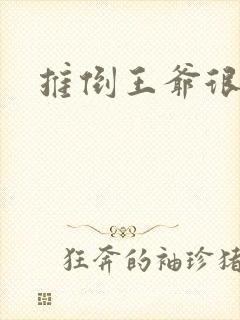 推倒王爷很重要