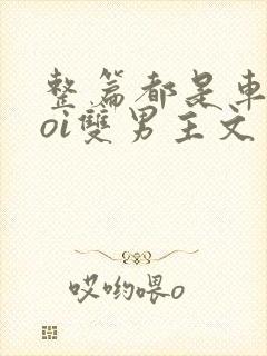 整篇都是车的doi双男主文