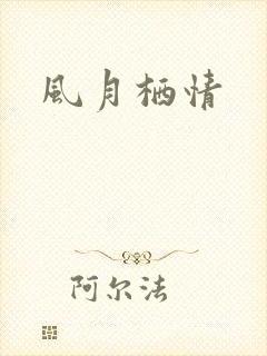 风月栖情