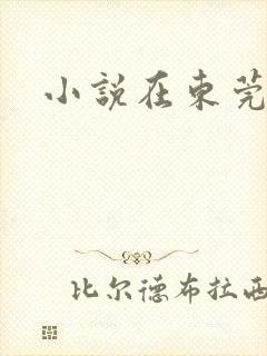 小说在东莞