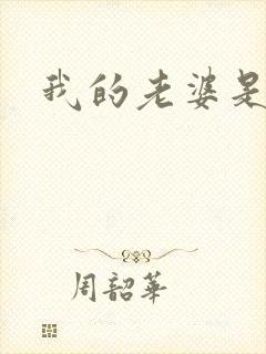 我的老婆是大神