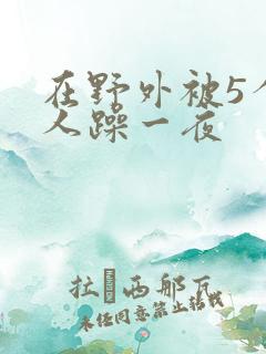 在野外被5个男人躁一夜