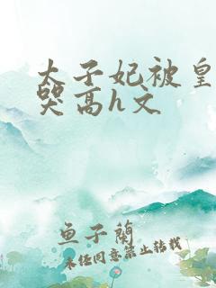 太子妃被皇上c哭高h文