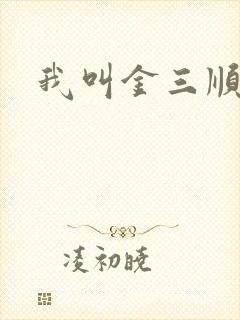 我叫金三顺下载