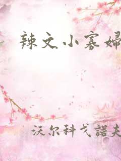 辣文小寡妇