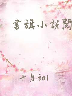 书旗小说阅读网