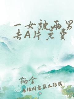 一女被两男桶进去A片免费