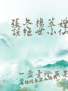 张冬杨萃嫂的小说绝世小仙医