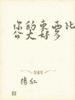 你的东西比我老公大好多