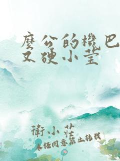 么公的机巴又粗又硬小莹