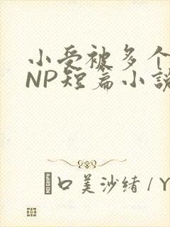 小受被多个攻强NP短篇小说