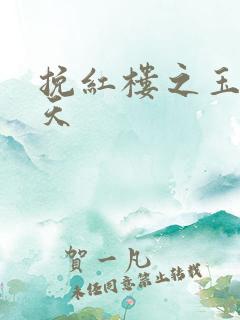 挽红楼之玉舞九天