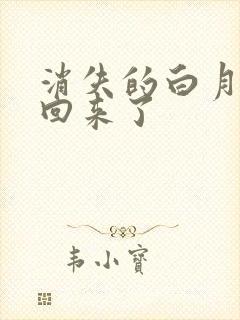 消失的白月光又回来了