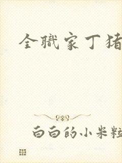 全职家丁猪猪岛