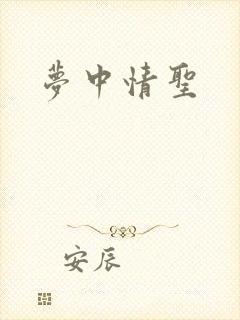 梦中情圣