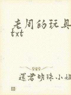 老周的玩具日记txt